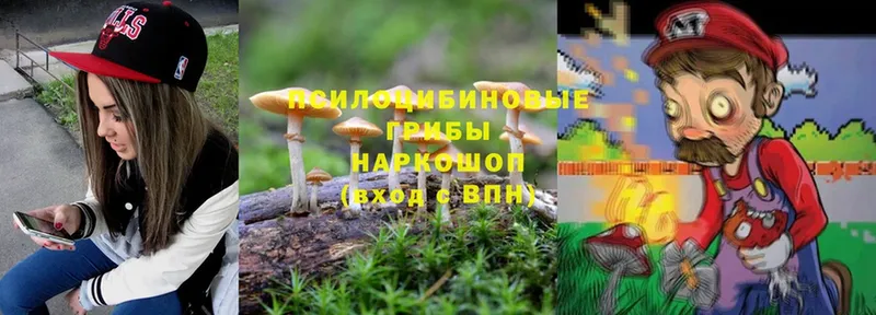 blacksprut ONION  наркота  Валдай  Галлюциногенные грибы MAGIC MUSHROOMS 